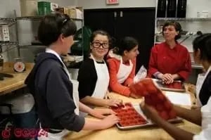 Cook Programs image