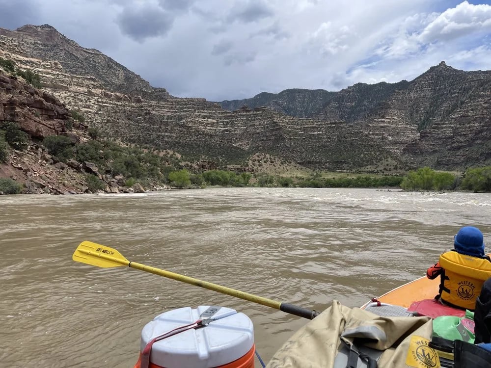 Western River Expeditions image
