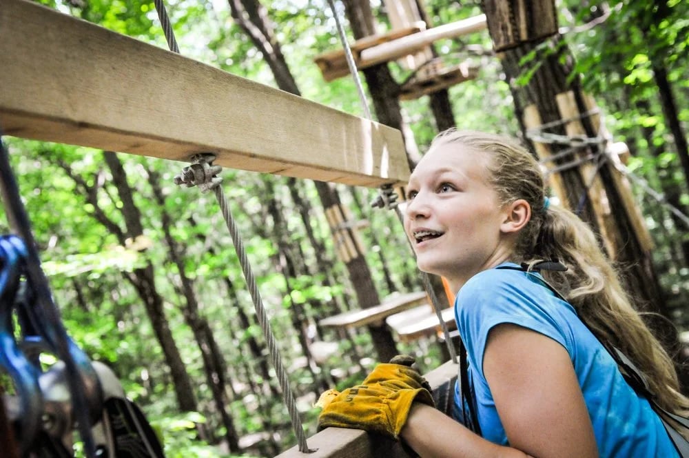 Bristol Mountain Aerial Adventures image