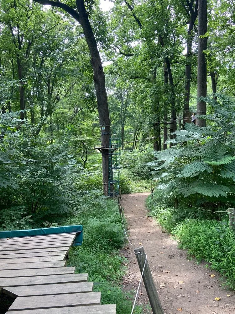 Treetop Quest Philly image