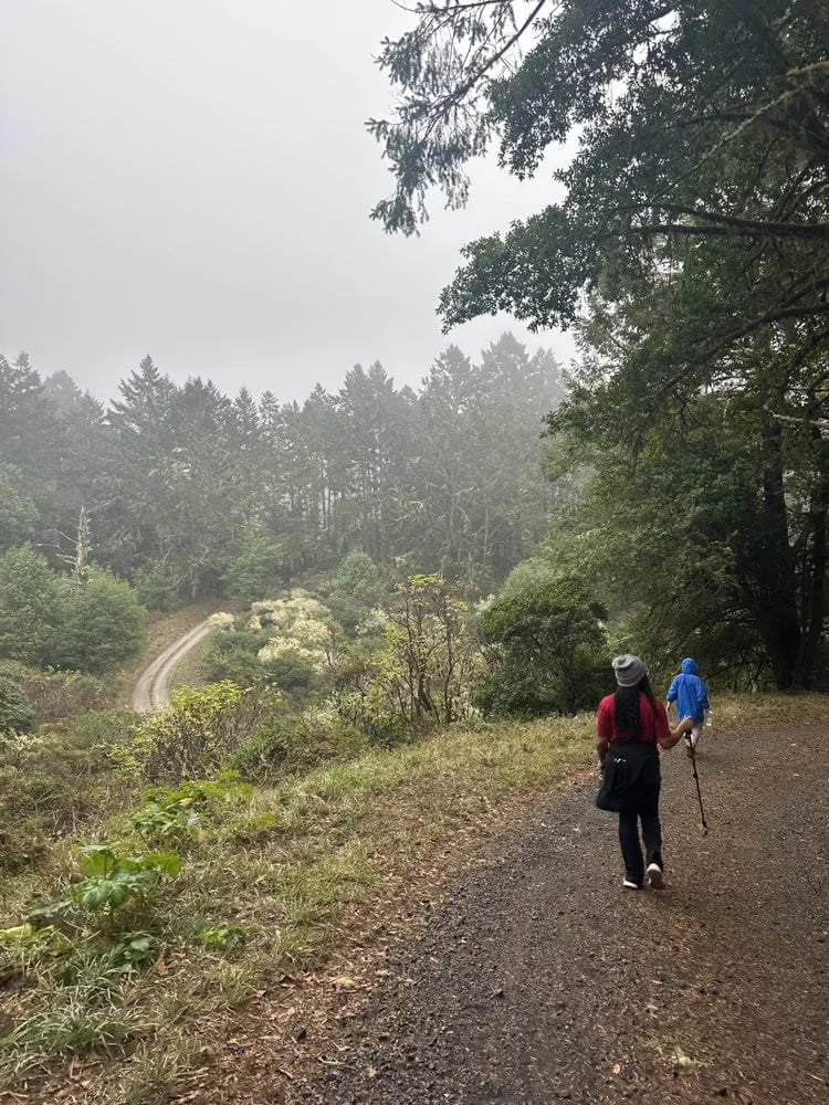 Peak Adventures image