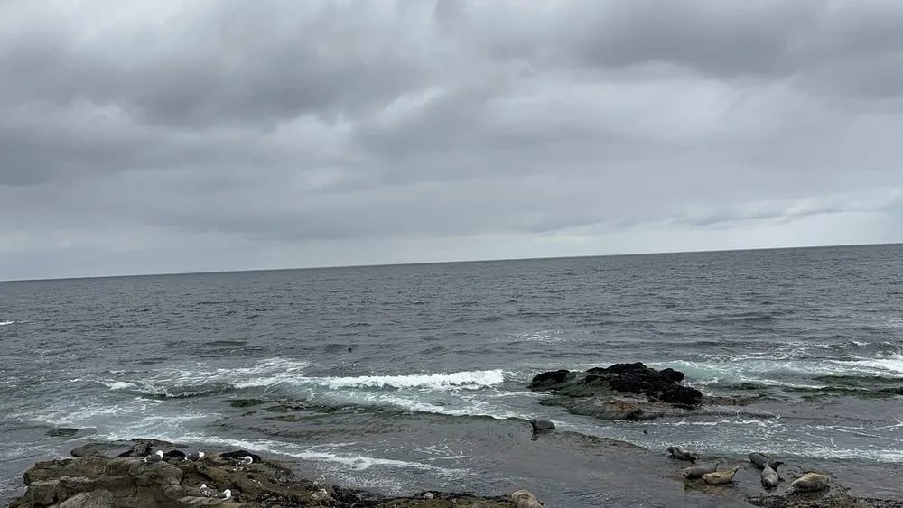 Another Side Of San Diego Tours image