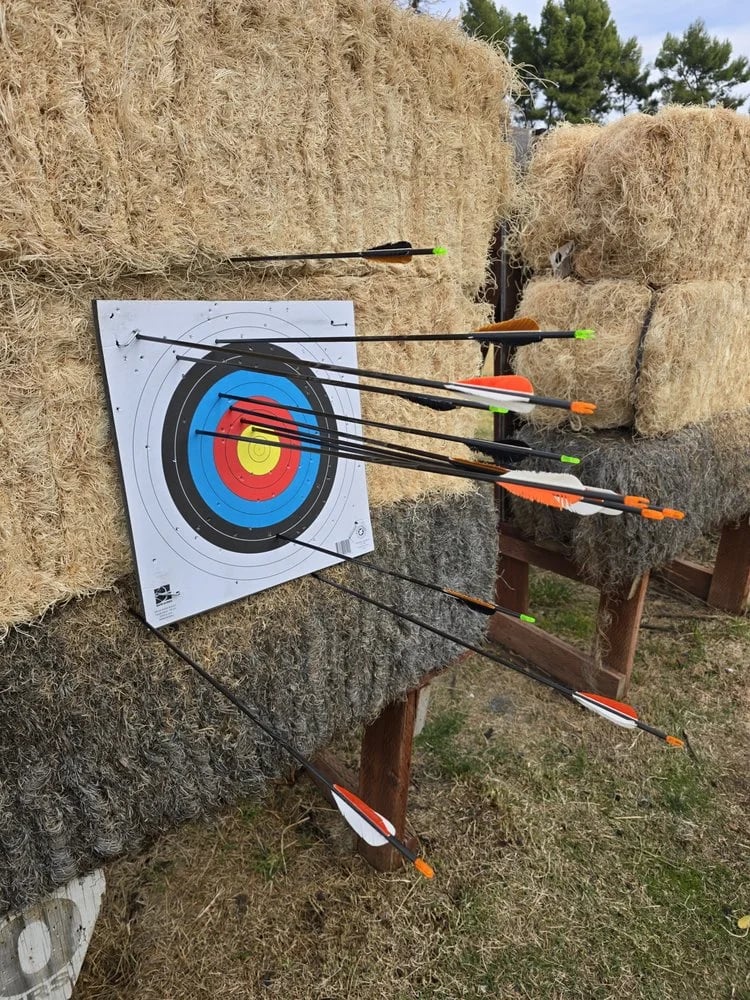Robertson Archery image