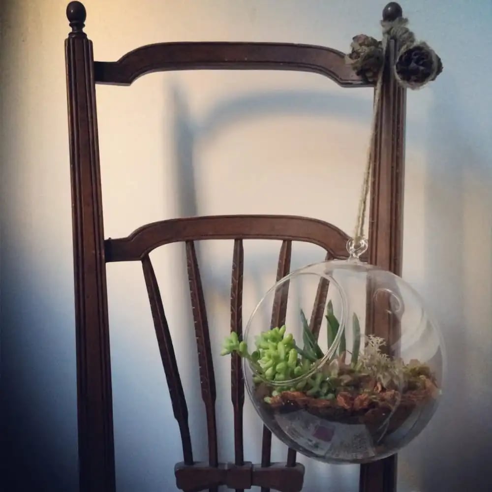 Luludi Living Art image