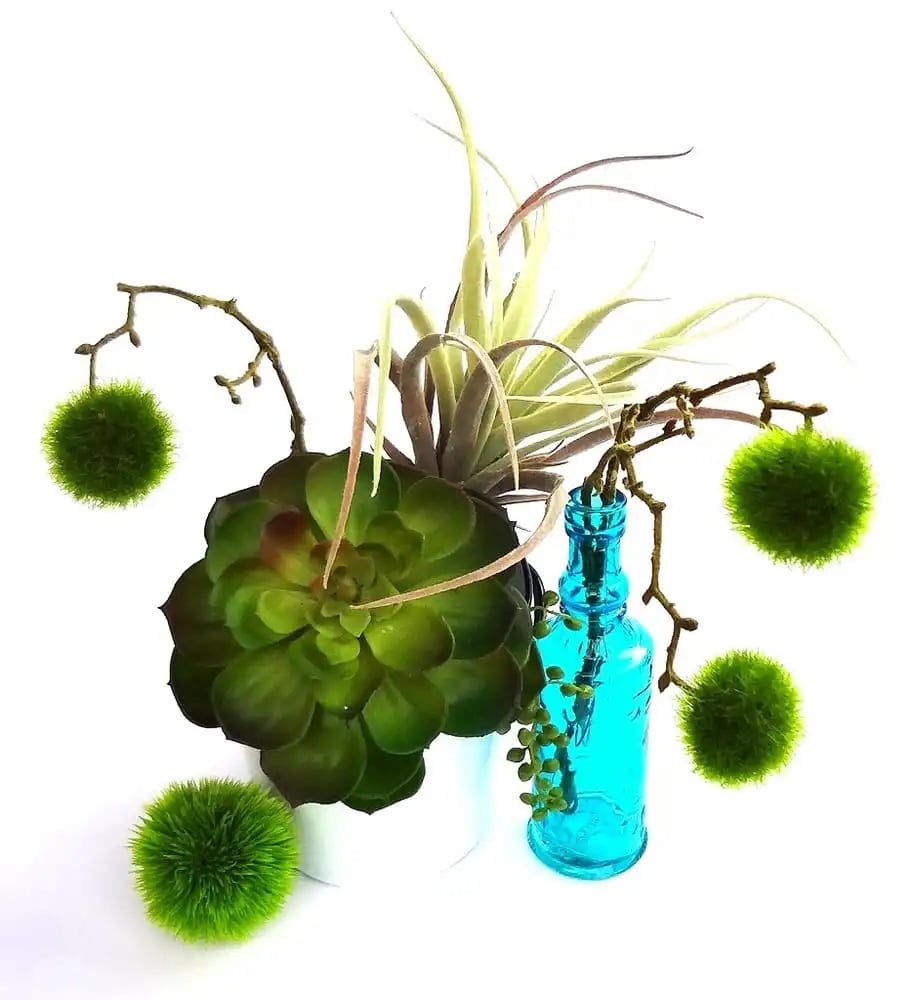 Flourish Workshops image
