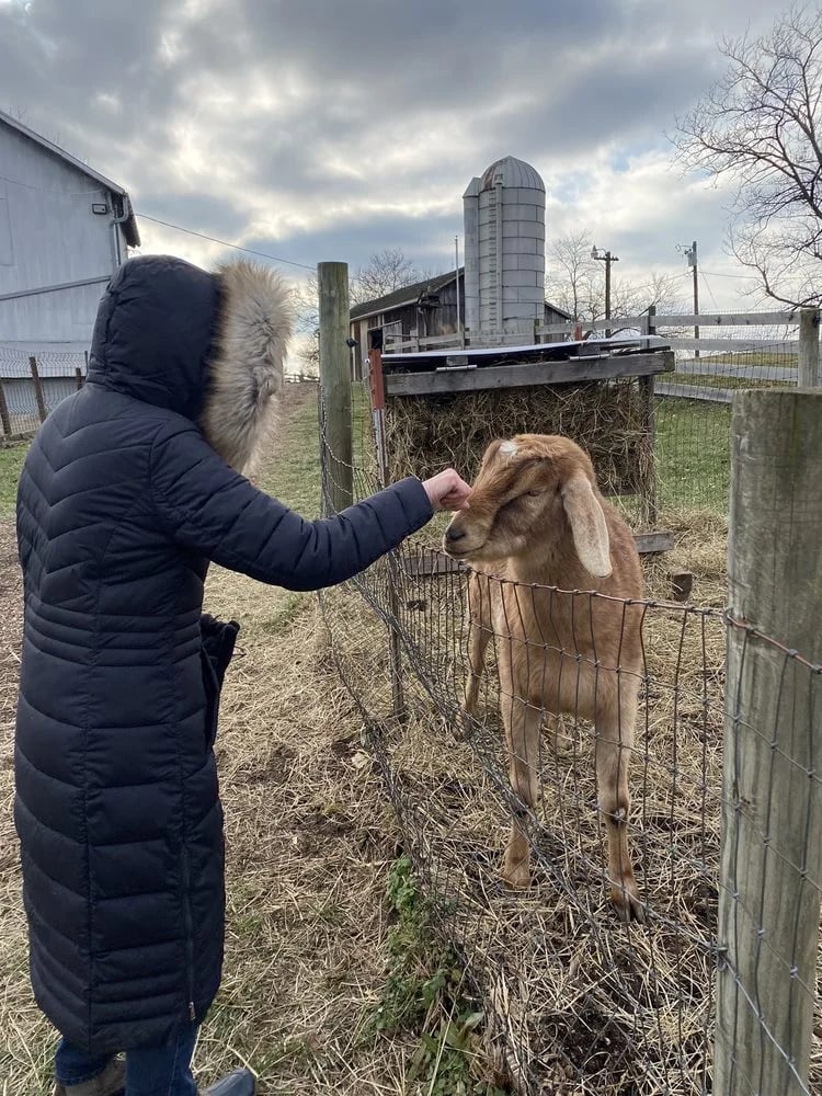 Gorman Heritage Farm image