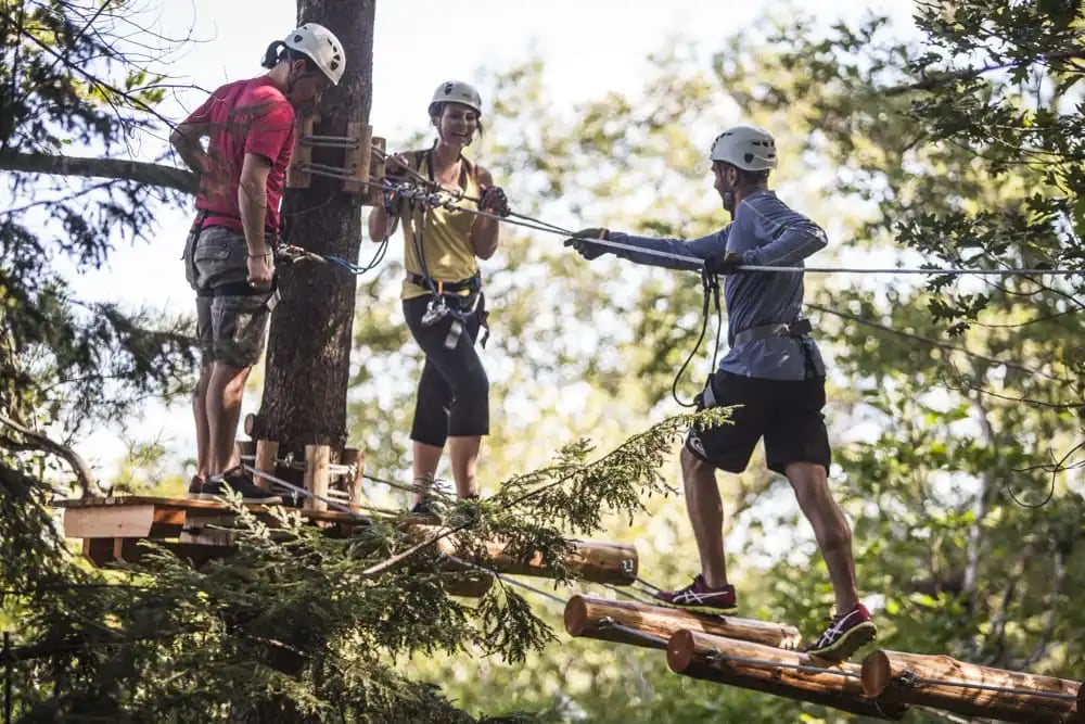 Treetop Trekking image