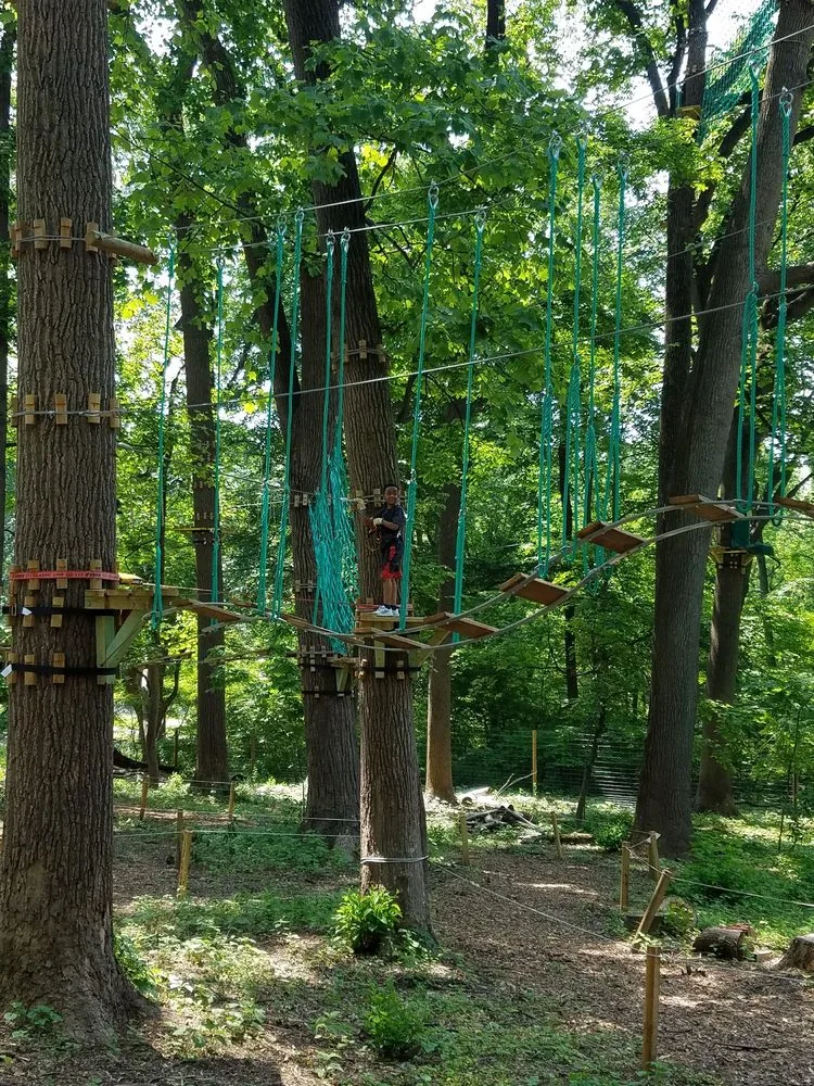 Treetop Quest Philly image