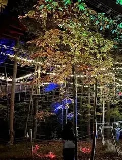 Go Ape Zipline & Adventure Park
