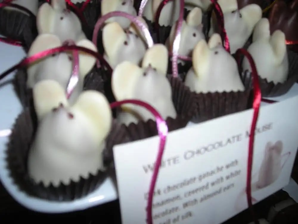 Boston Chocolate School & Tours image
