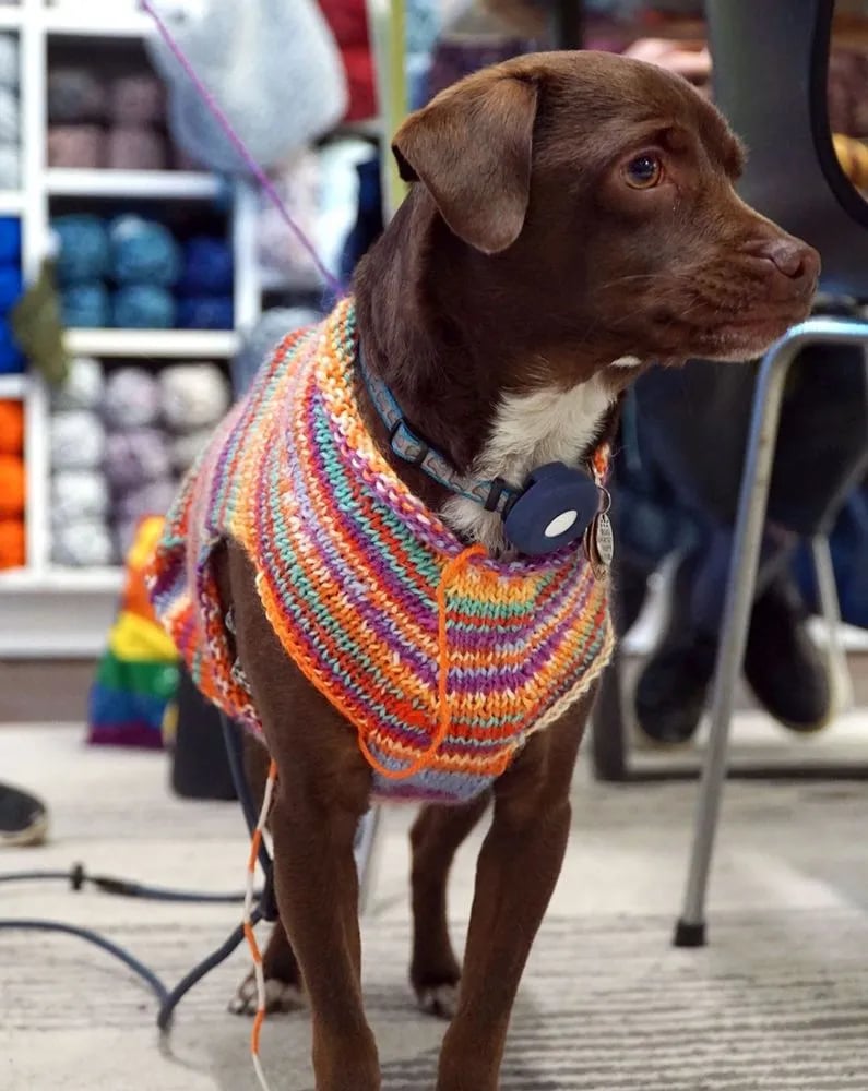 ImagiKnit image