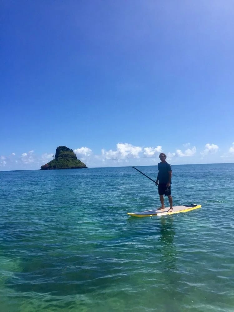 The Surf Professor image
