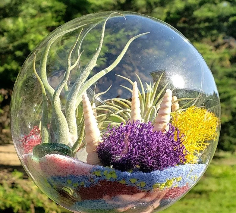 Fun With Plants image
