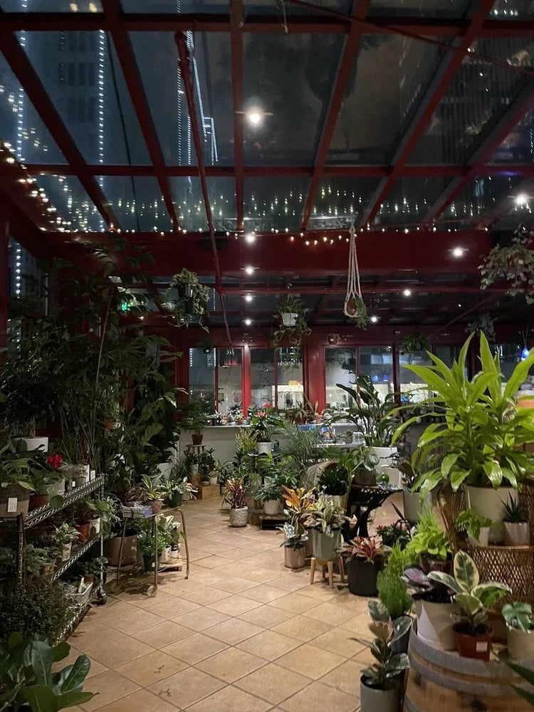 Plant Connection SF image