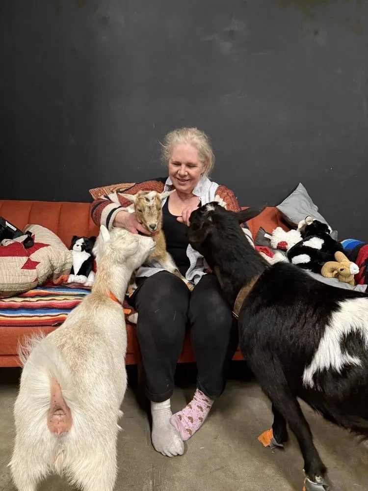 Hello Critter Goat Yoga image