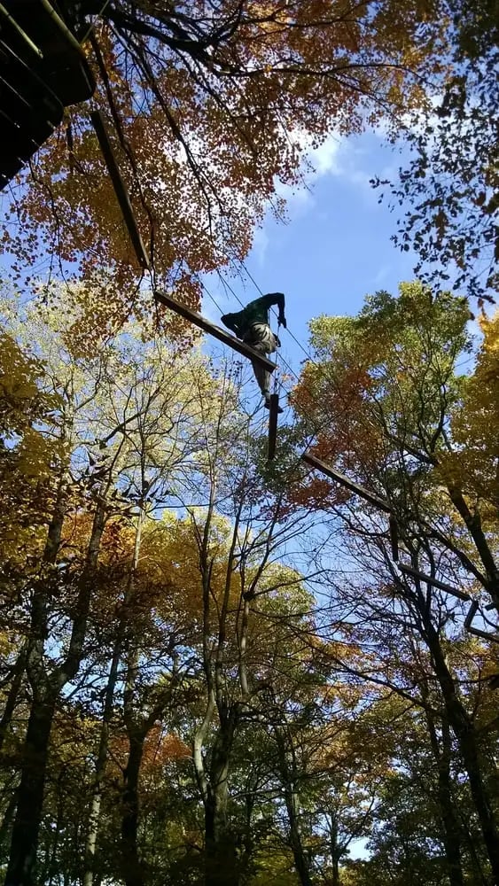 Bristol Mountain Aerial Adventures image