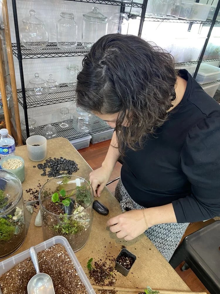 Roosevelt's Terrariums image
