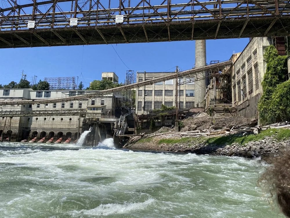 Willamette Jetboat Excursions image
