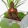 Luludi Living Art image