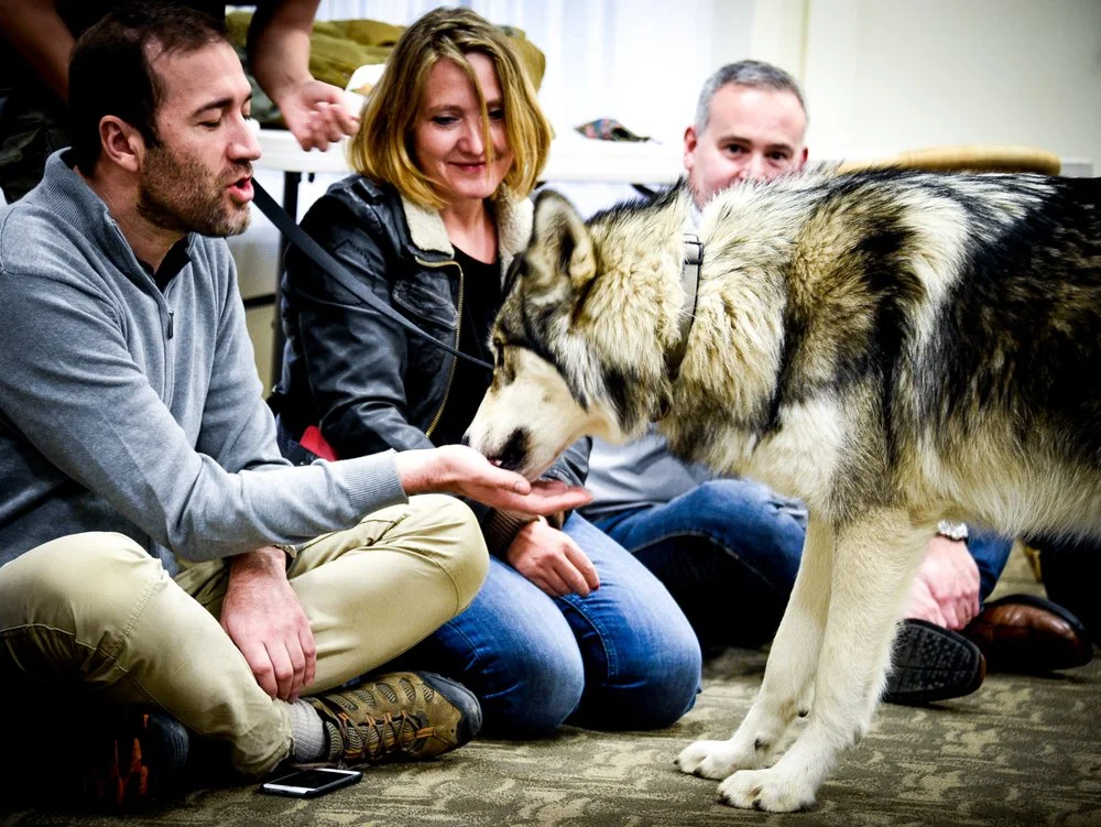Wolf Tribe image