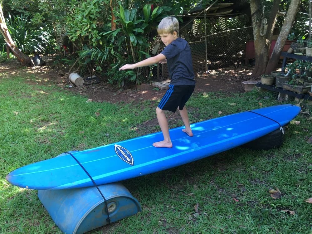 The Surf Professor image