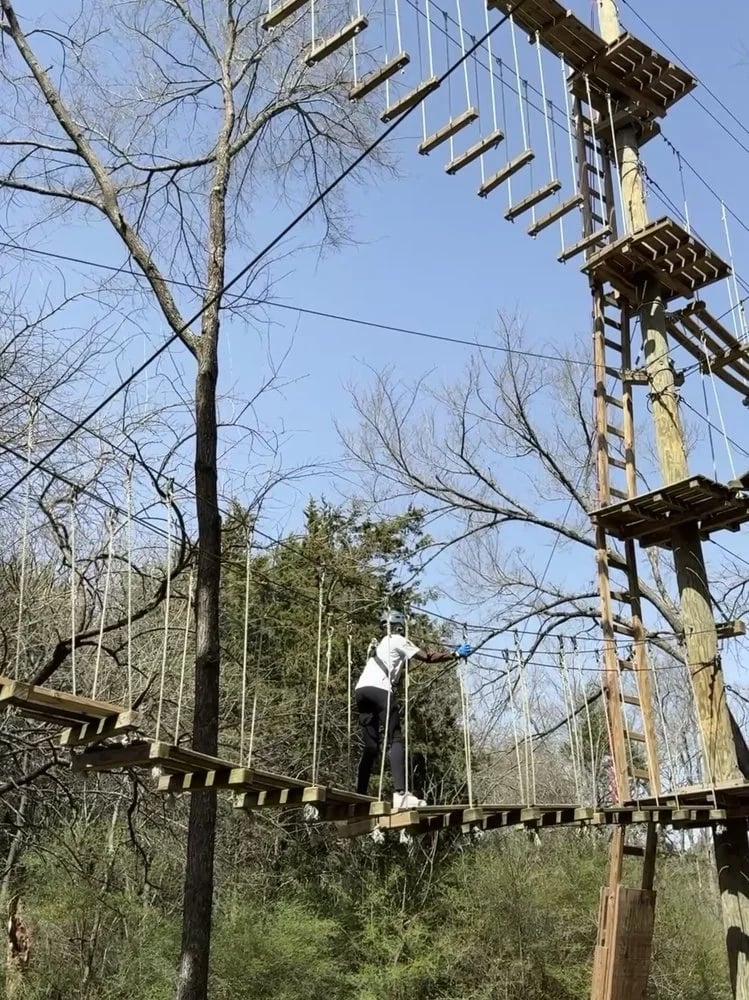 Trinity Forest Adventure Park image