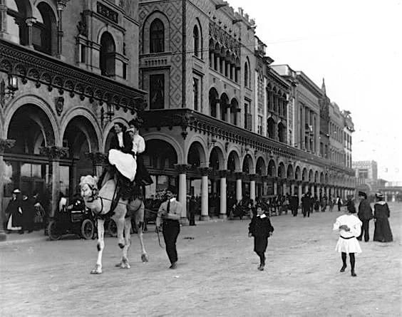 Venice Bike Tours image