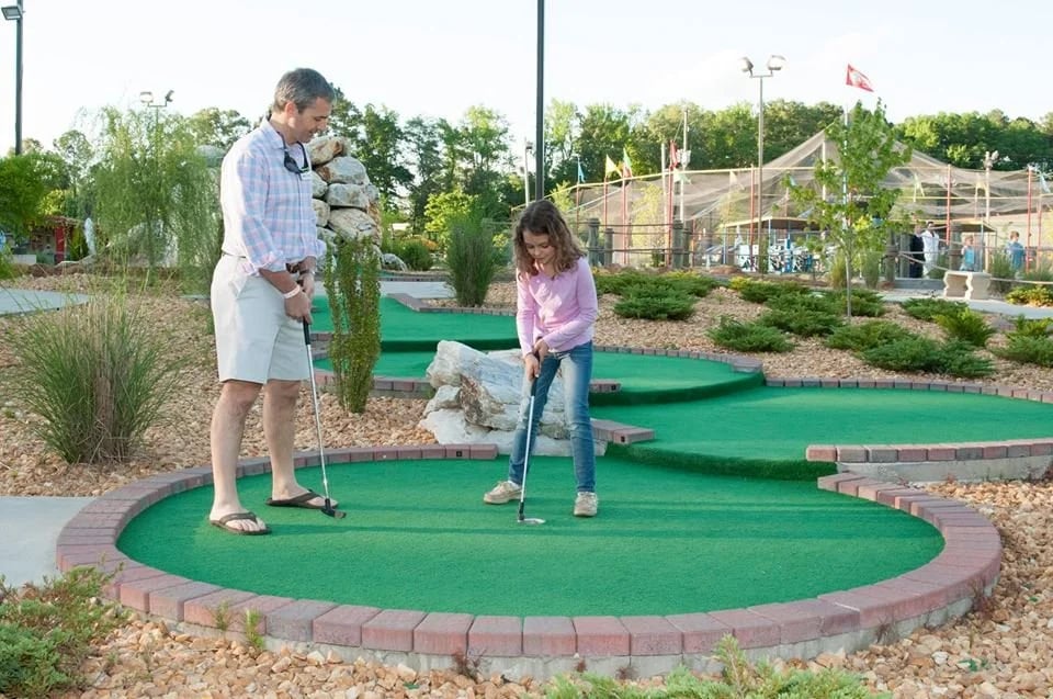 Big Rock Mini Golf & Fun Park image