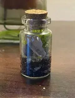 Roosevelt's Terrariums