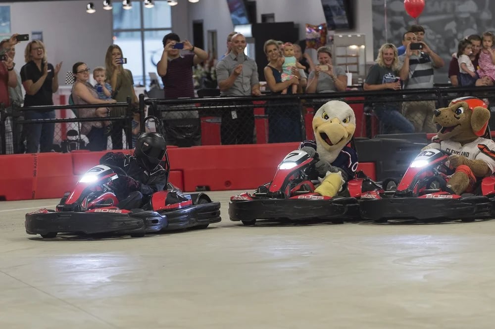 BOSS PRO-Karting image