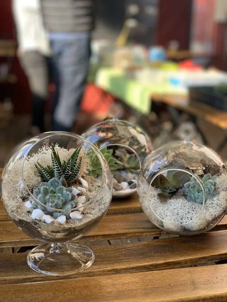 Fun With Plants image