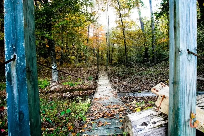 Hachland Hill image