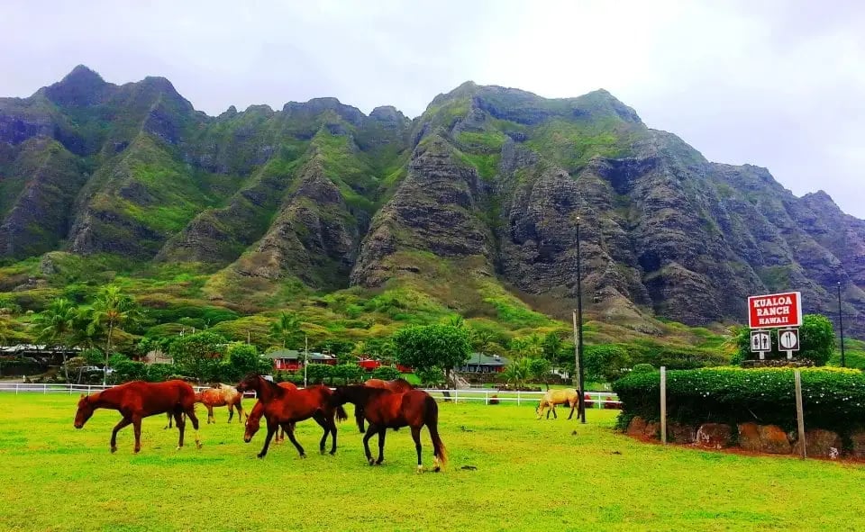 Kualoa Ranch image