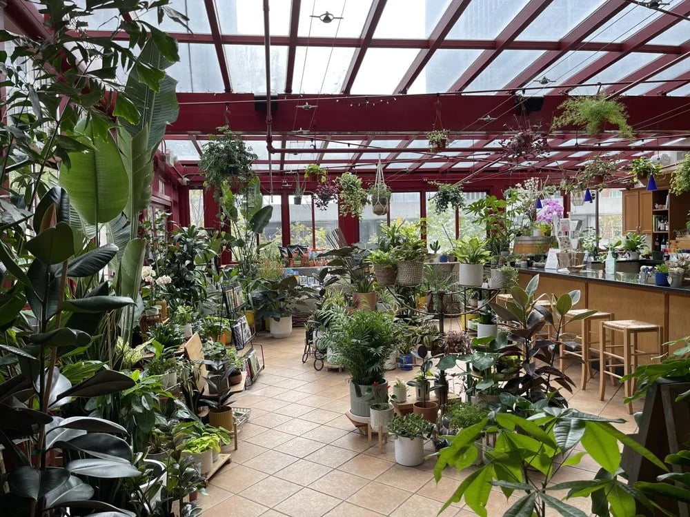 Plant Connection SF image