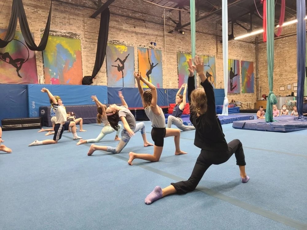 MSA & Circus Arts image