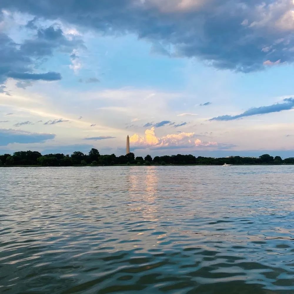 Potomac Paddle Club - Navy Yard image