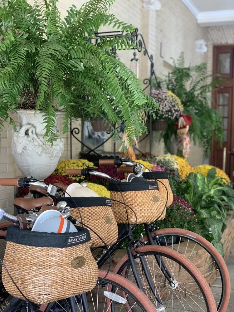 Basket & Bike image