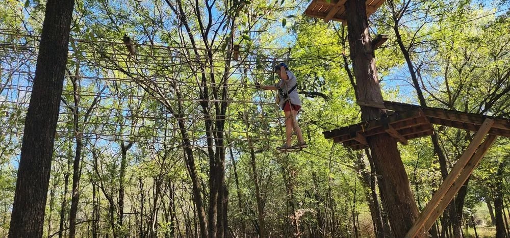 Trinity Forest Adventure Park image