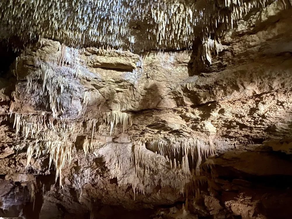 Natural Bridge Caverns image