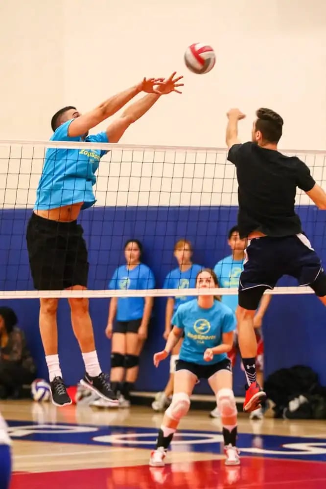 ZogSports image
