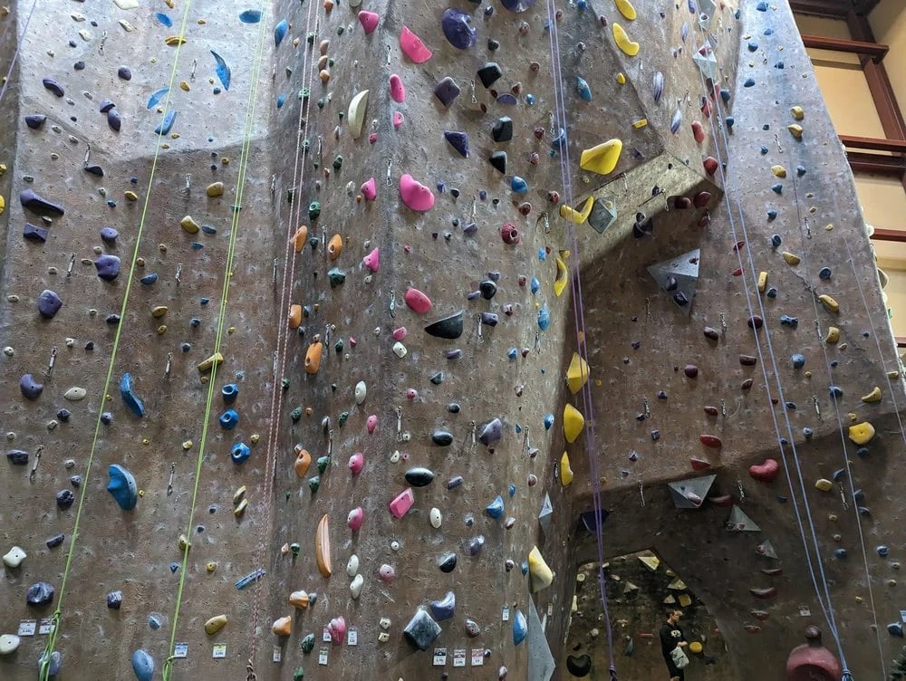 Mesa Rim Climbing Center - Mira Mesa image