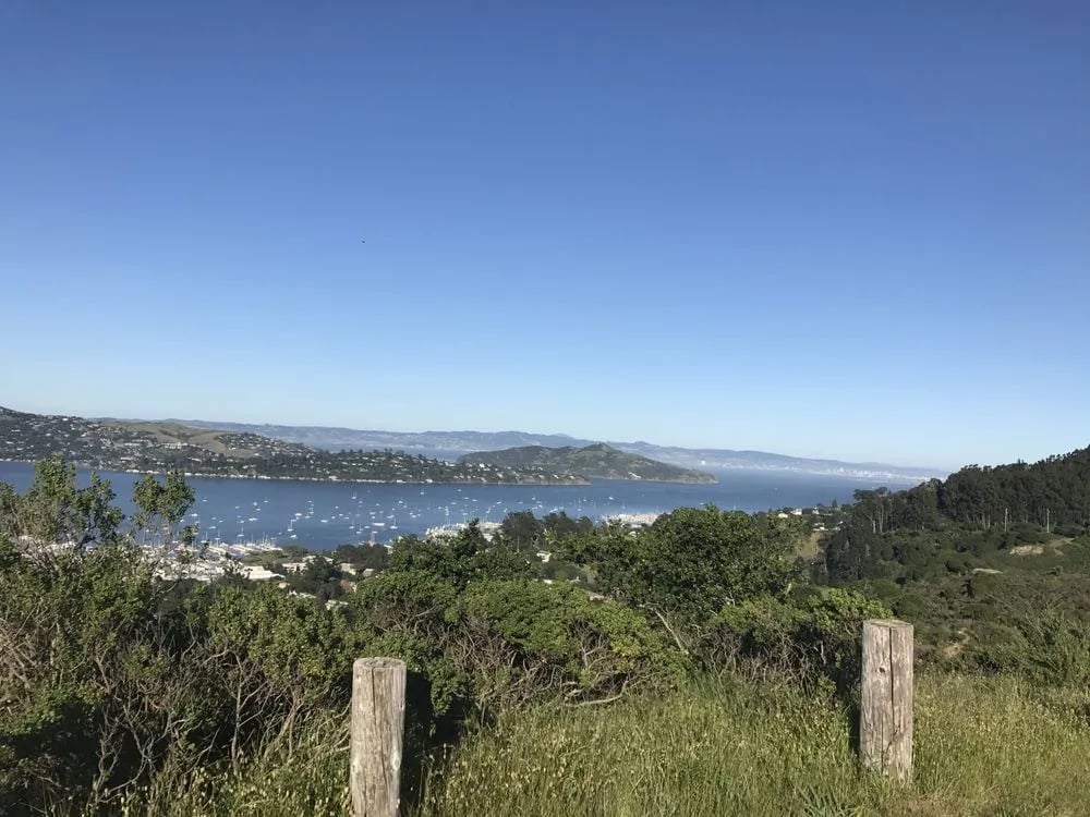 EcoBike Adventures - Sausalito image