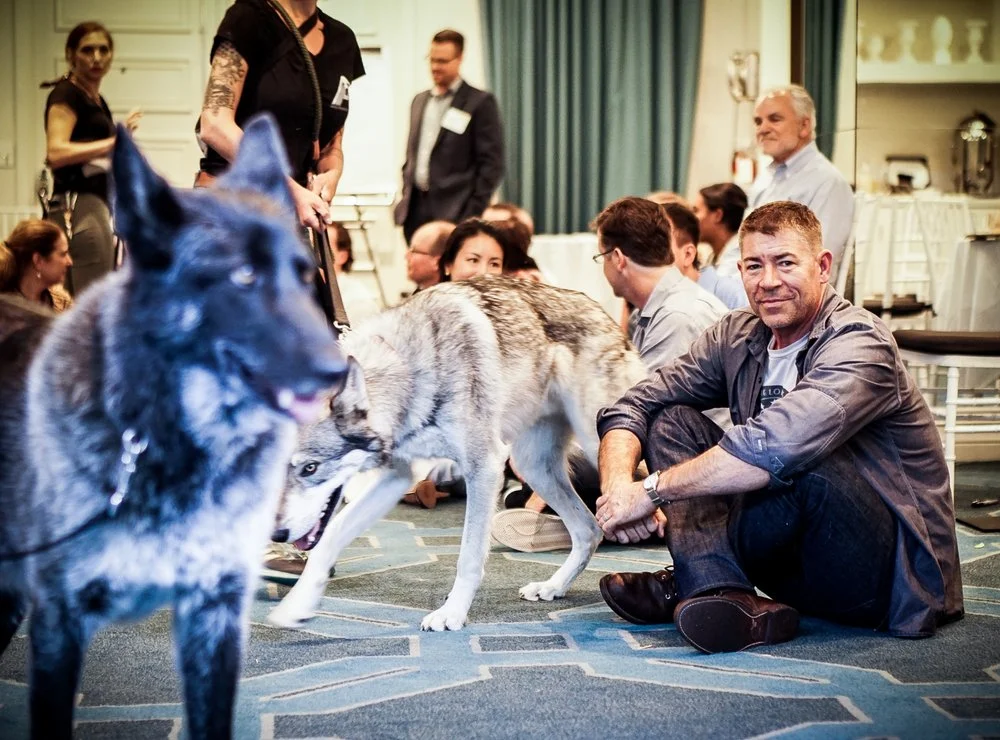 Wolf Tribe image