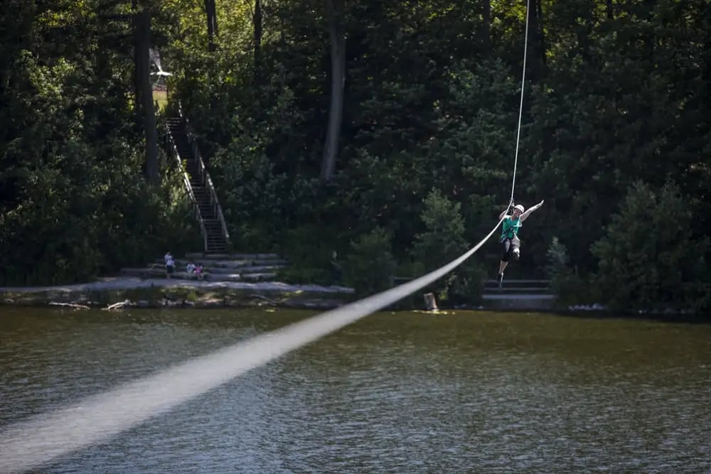 Treetop Trekking image