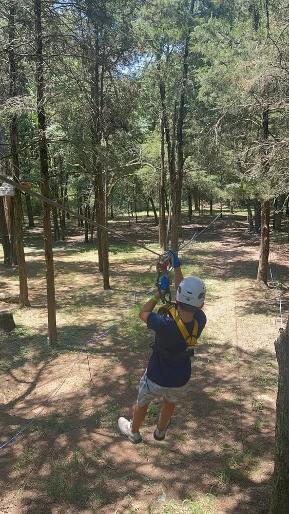 Trinity Forest Adventure Park image
