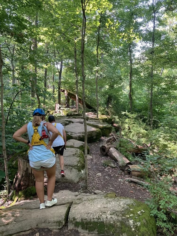 The Adventure Park at Nashville image