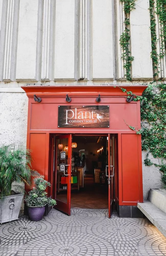 Plant Connection SF image