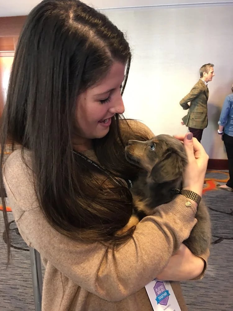Puppy Love image