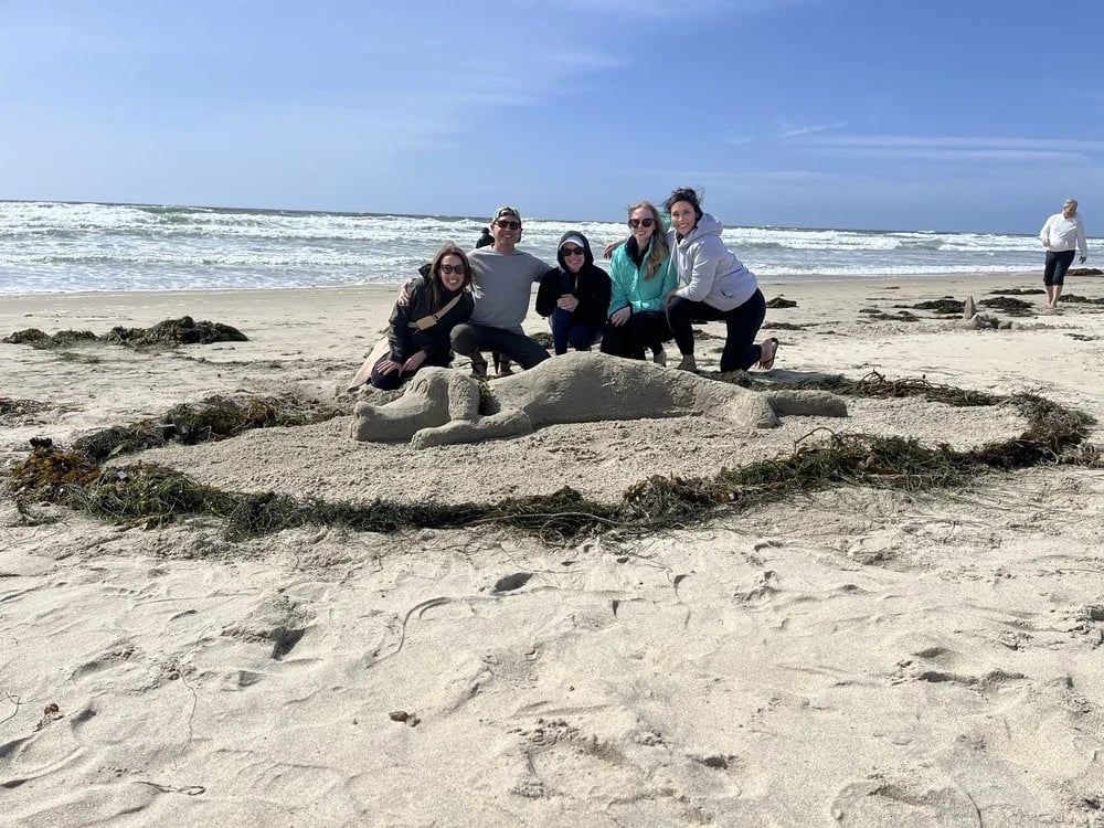 San Diego Sand Castles image