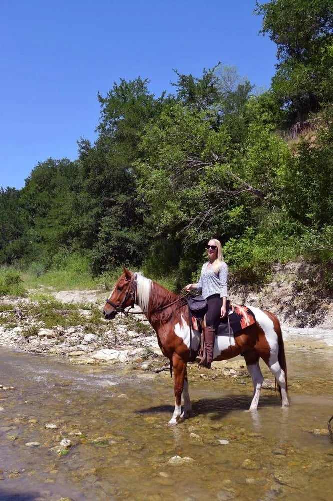 Texas Trail Rides image